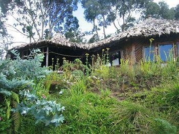 Mount Kilimanjaro View Lodge Moshi Buitenkant foto