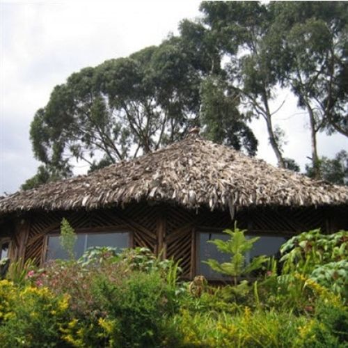 Mount Kilimanjaro View Lodge Moshi Buitenkant foto