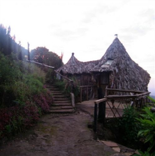 Mount Kilimanjaro View Lodge Moshi Buitenkant foto